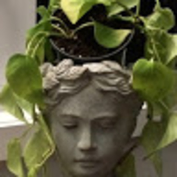 Meet your Posher, Homa - Picture 1 of 1